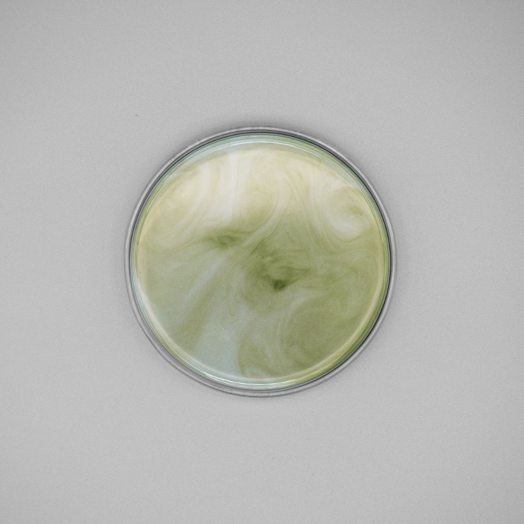 Biotechnology & nature: biomolecules inspired by grapevines are reinventing anti-aging