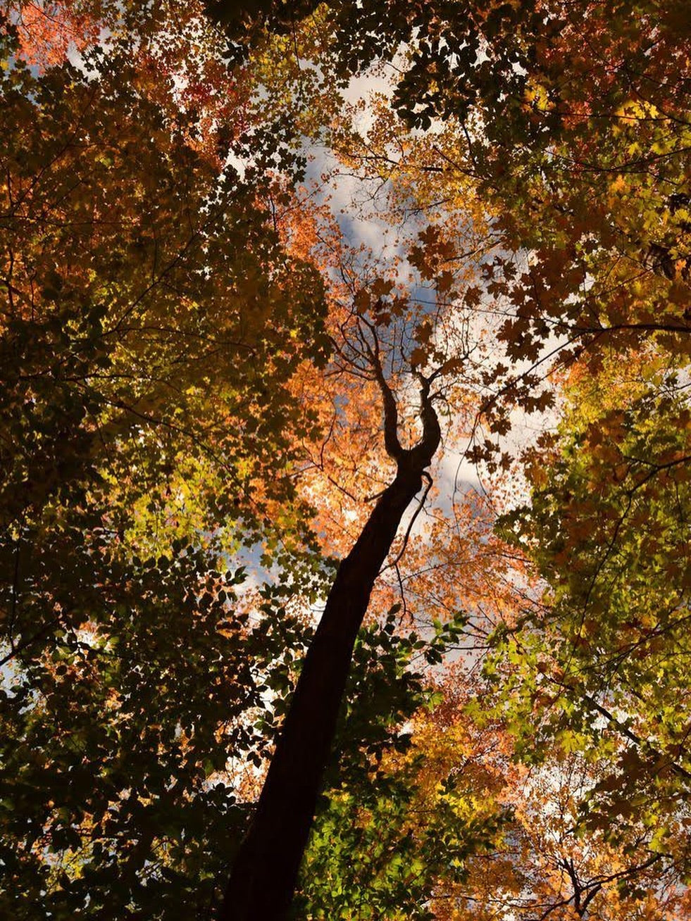 What Autumn Skincare Routine to Adopt: Our Tips for the New Season