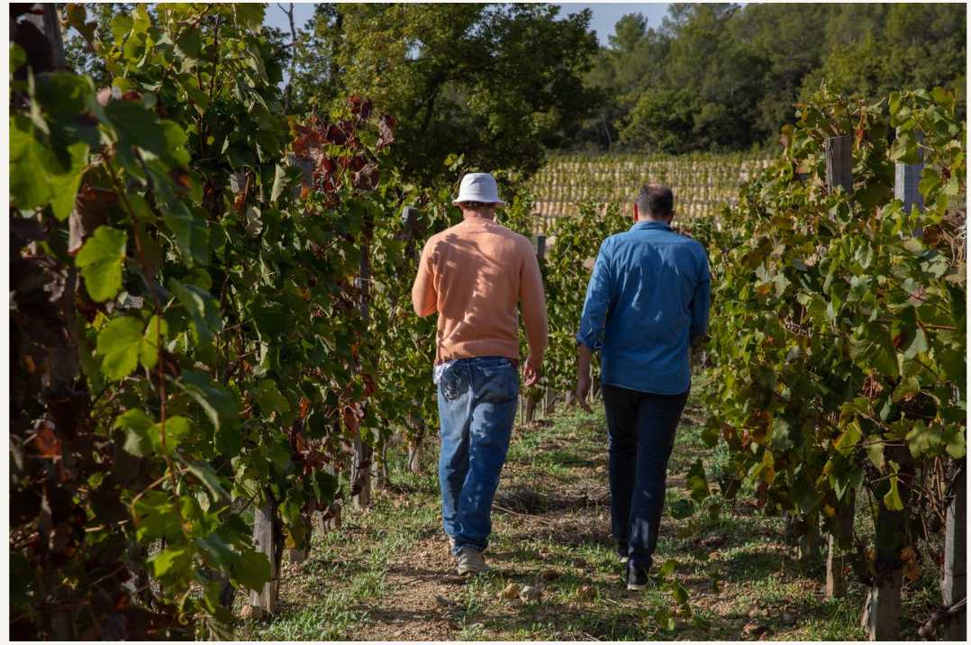 Beau Domaine by Brad Pitt & Famille Perrin