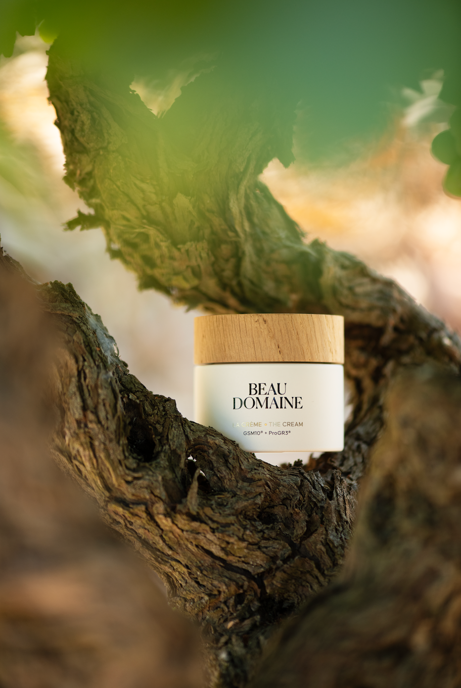 Beau Domaine by Brad Pitt & Famille Perrin