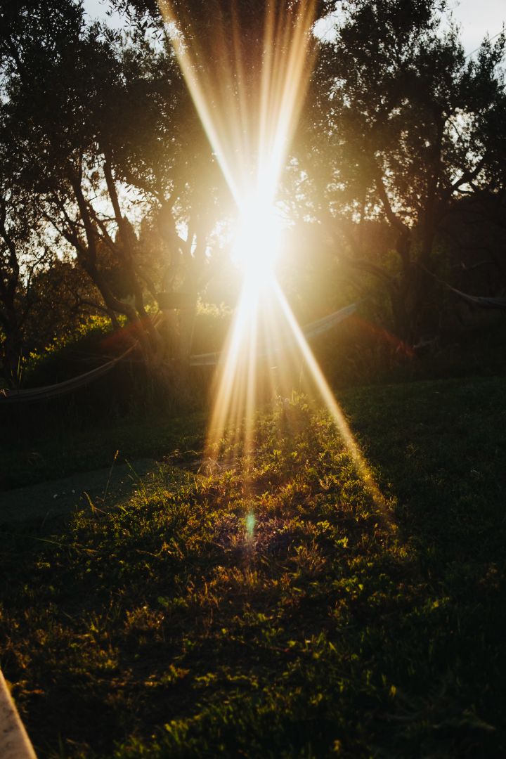 Beau Domaine by Brad Pitt & Famille Perrin