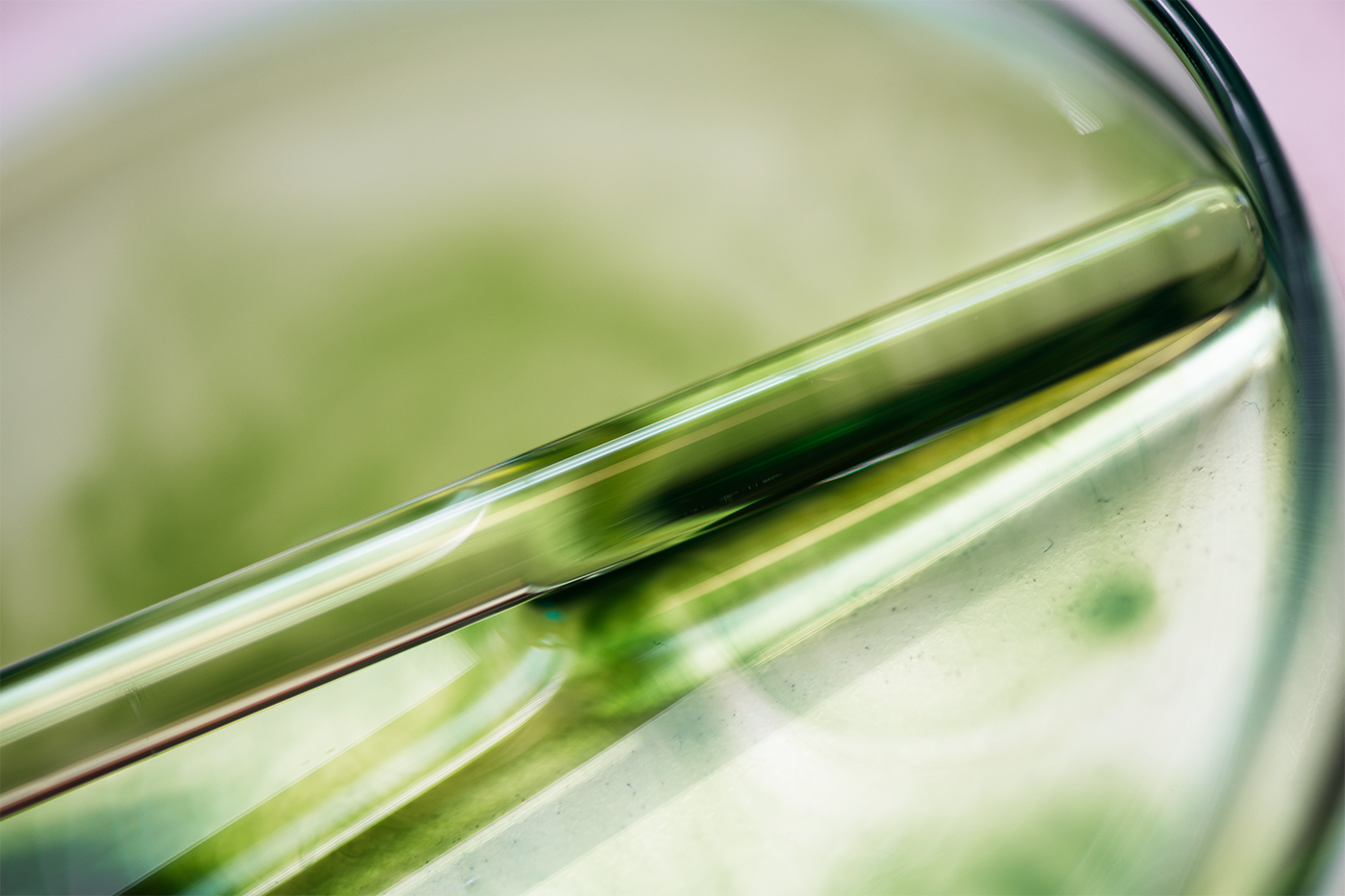 Beau Domaine by Brad Pitt & Famille Perrin