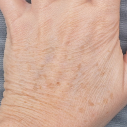 Beau Domaine by Brad Pitt & Famille Perrin