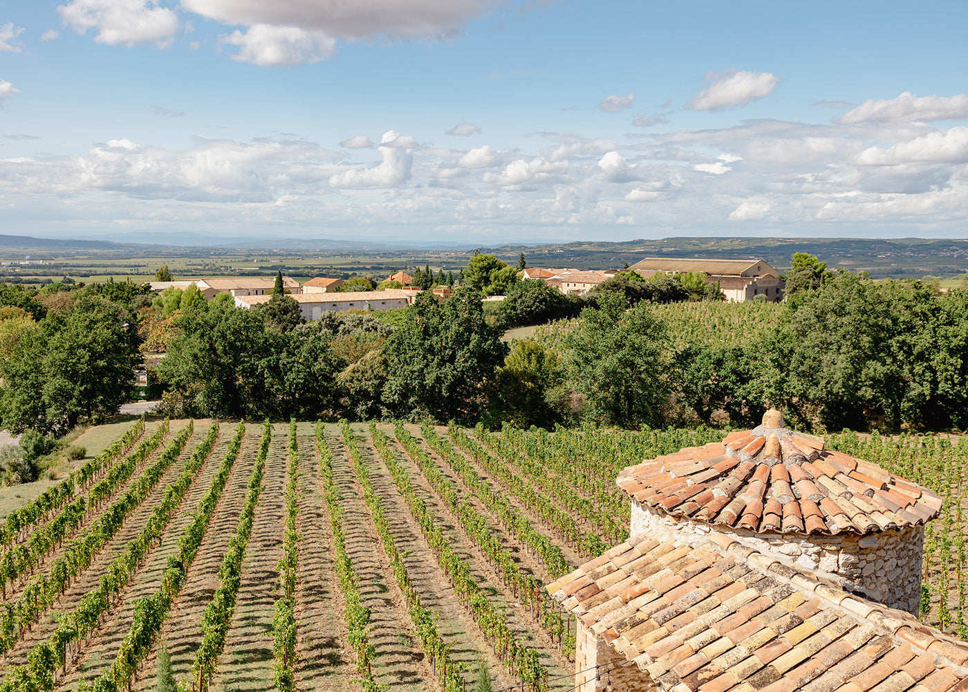 Beau Domaine by Brad Pitt & Famille Perrin