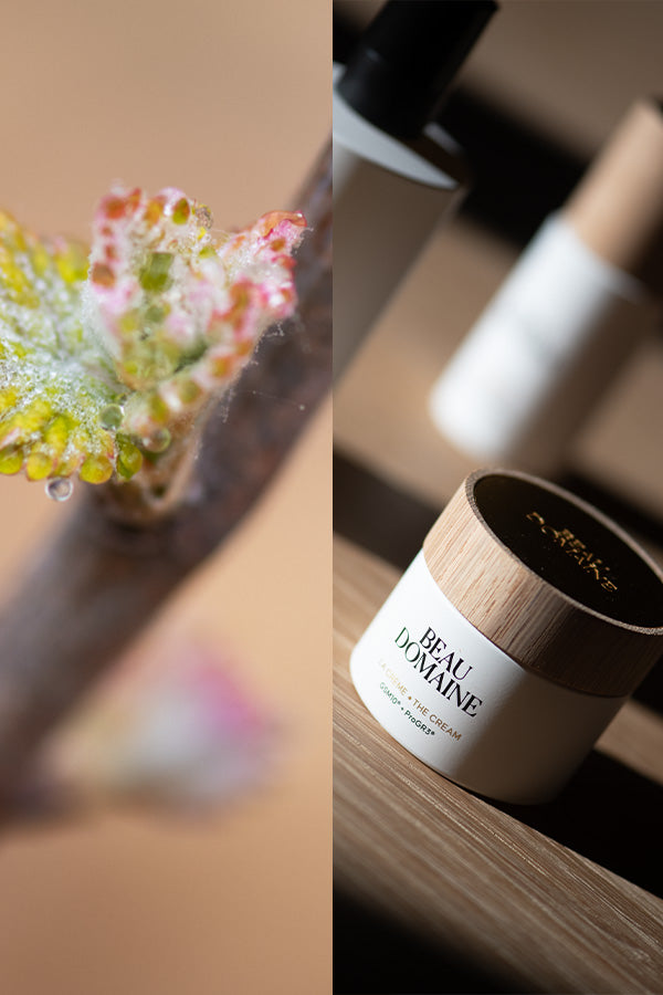 Beau Domaine by Brad Pitt & Famille Perrin