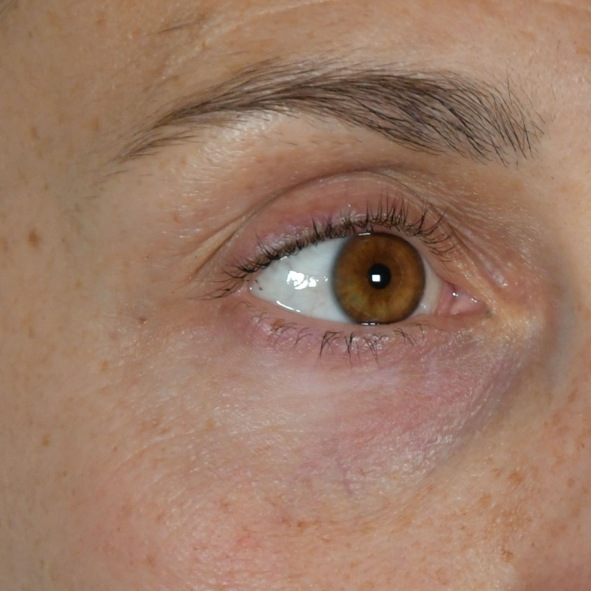 Beau Domaine by Brad Pitt & Famille Perrin