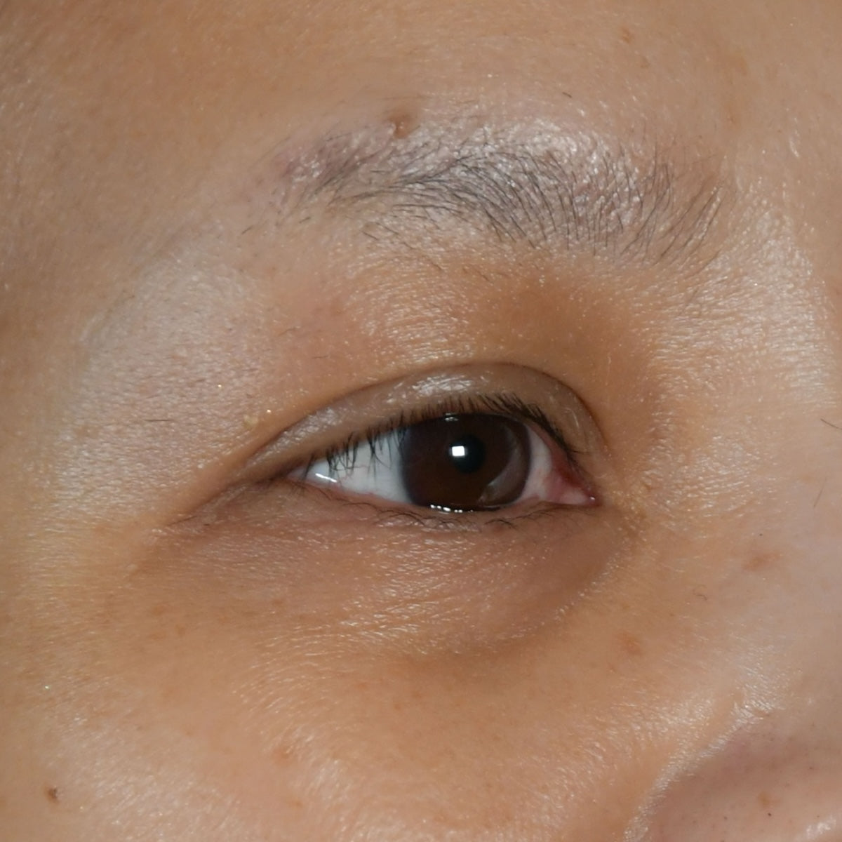 Beau Domaine by Brad Pitt & Famille Perrin